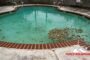 Concrete Swimming Pool Repair